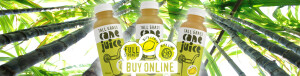 Pure Australian Sugar Cane Juice. Buy Online