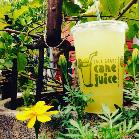 Sustainable-festivals-sugarcane-sydney